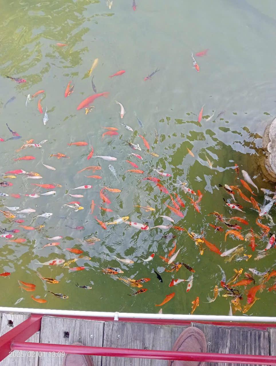Homestay Suoi Khoang Minh Hang Yen Bai Kültér fotó